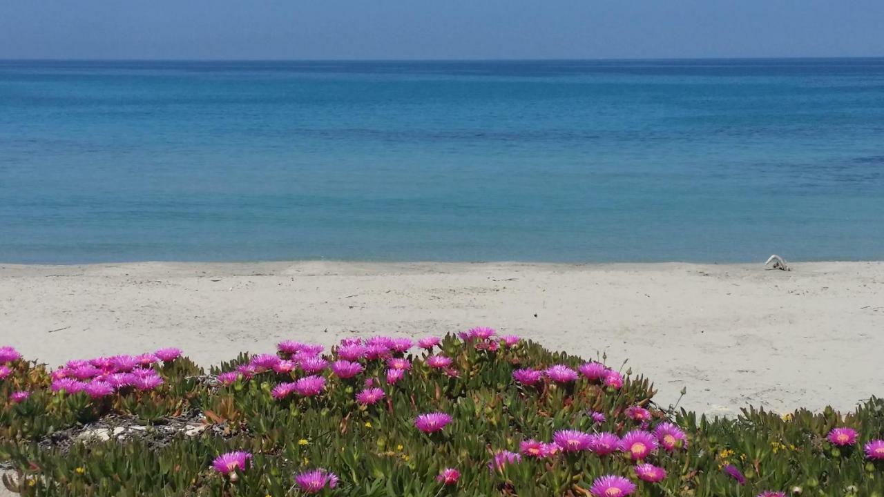 Apartamento Casa Azzurra